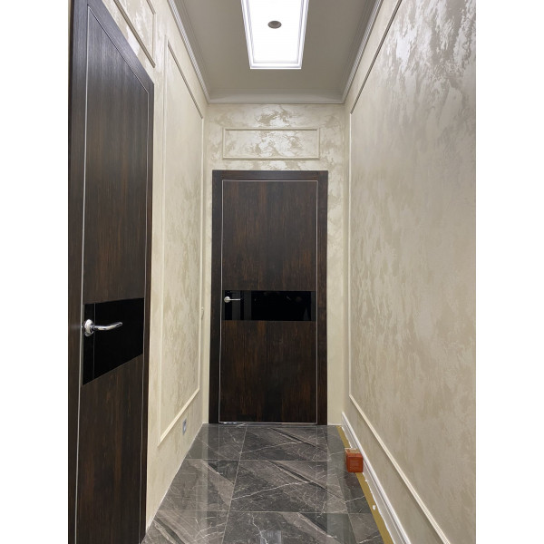CL1  Phoenix Doors