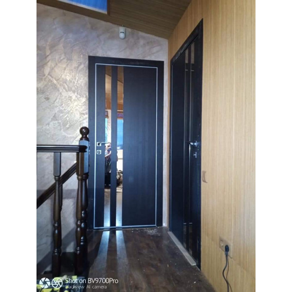 CL 18  Phoenix Doors