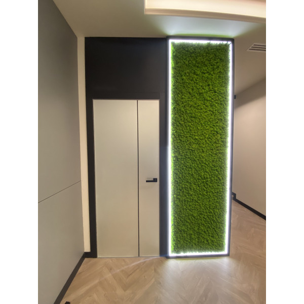 CL 33  Phoenix Doors